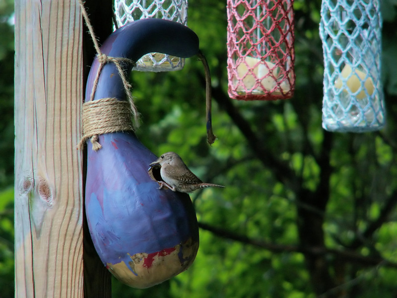 Eco-Friendly and Cost-Effective Ways to Handle Bulky Waste Items