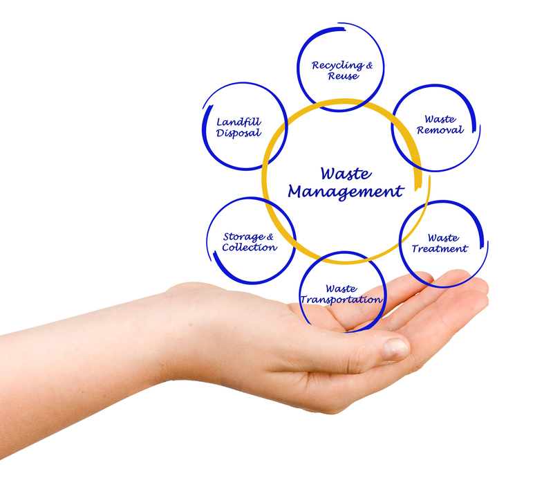 Reimagine Waste as Wonderful With Easy Upcycling Techniques