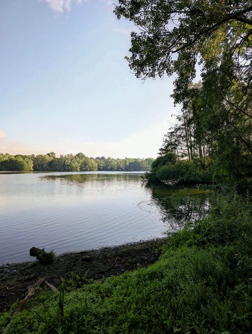 The image depicts a tranquil lakeside scene with a calm, reflective body of water stretching across the foreground and middle distance. The shoreline is visible on the right, featuring dark, damp soil